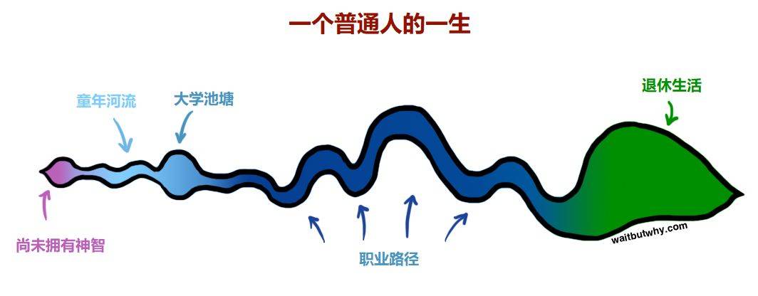 本文不提供职业建议，却能助你一生插图7-zyq.today