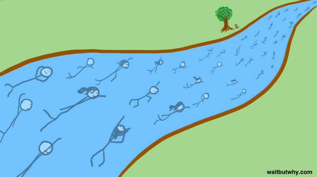 本文不提供职业建议，却能助你一生插图1-zyq.today