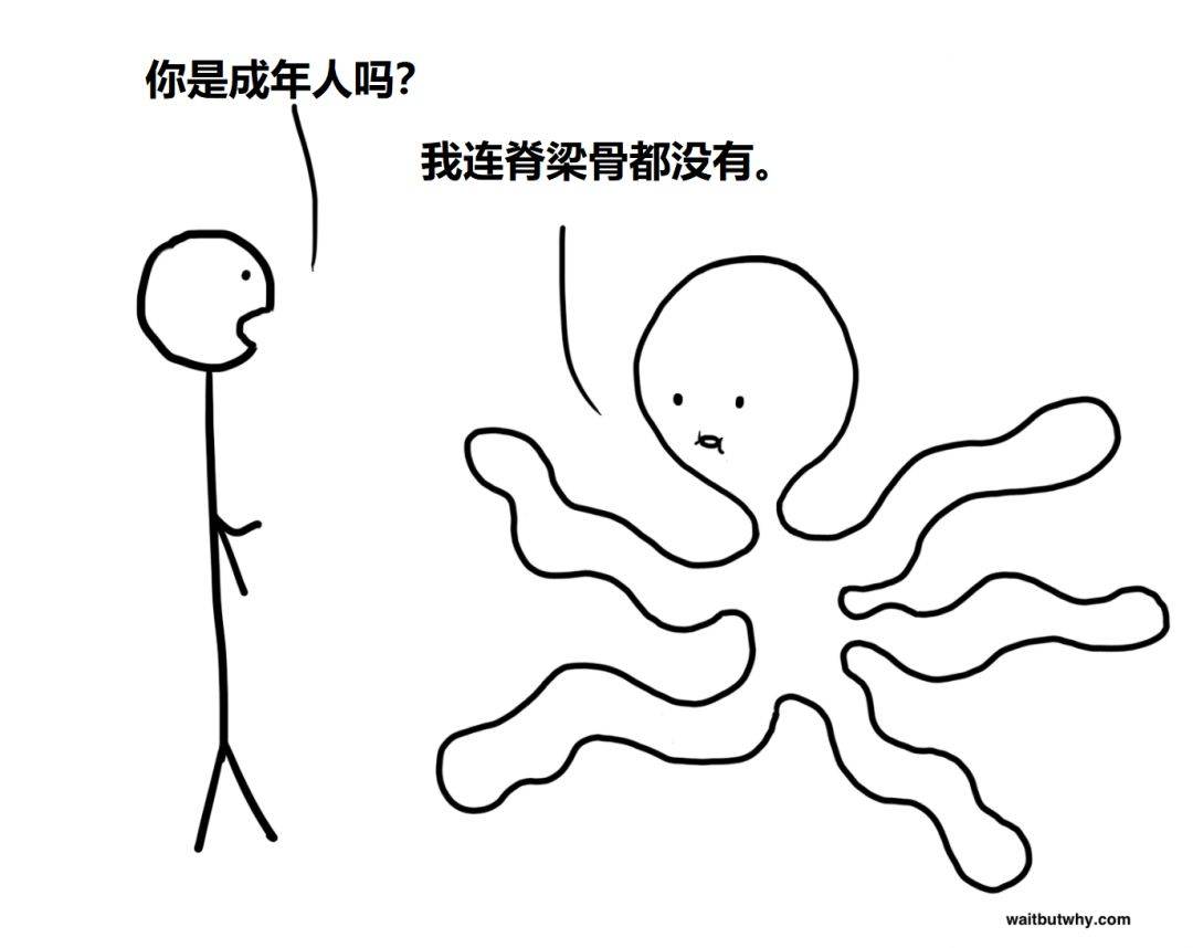 本文不提供职业建议，却能助你一生插图36-zyq.today